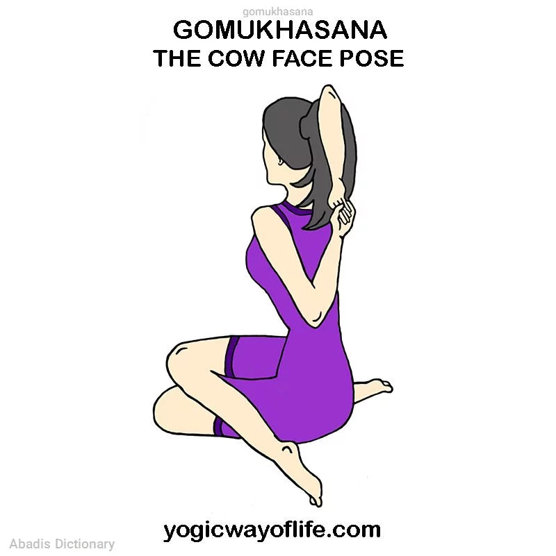 gomukhasana