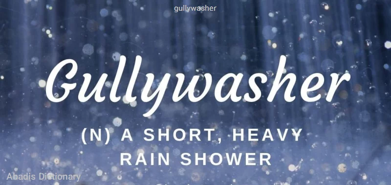 gullywasher