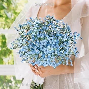 gypsophila