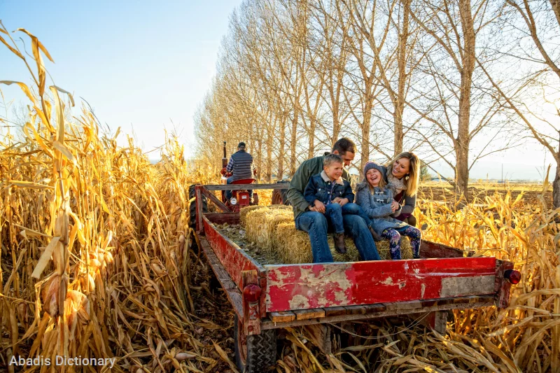 haycation