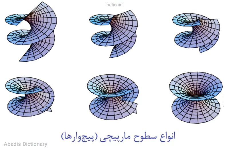 helicoid