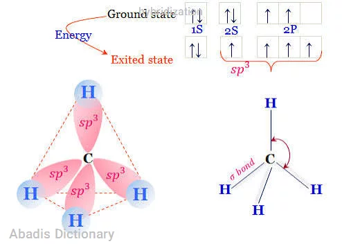 hybridization