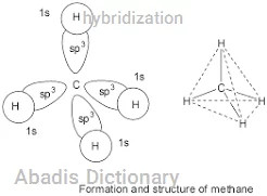 hybridization