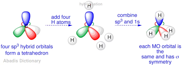 hybridization
