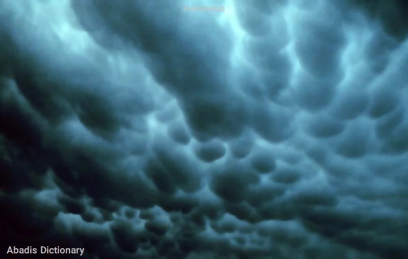 mammatus