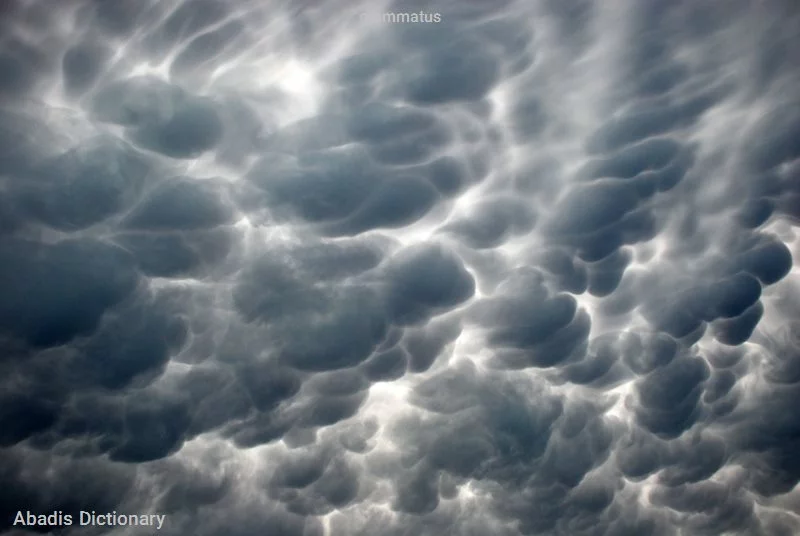 mammatus