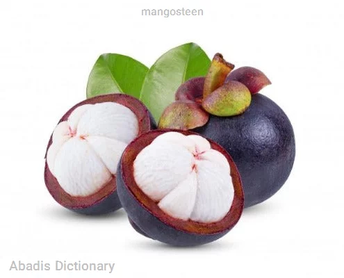 mangosteen