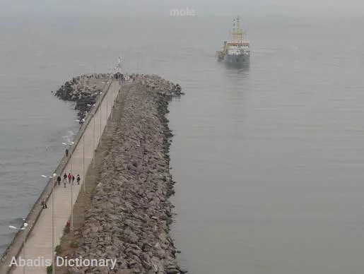 mole