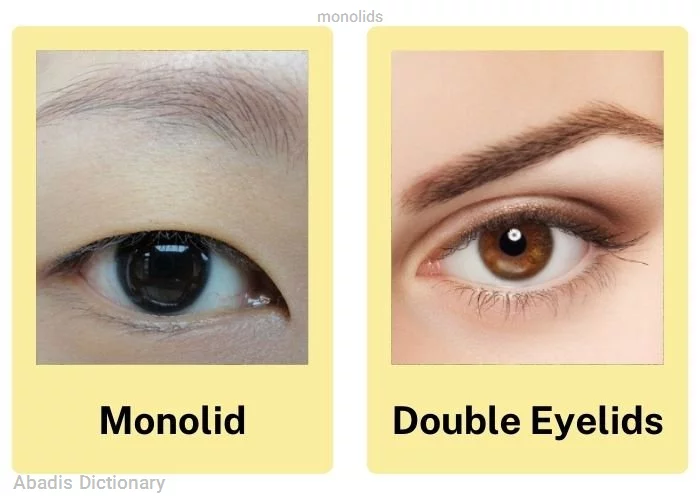 monolids