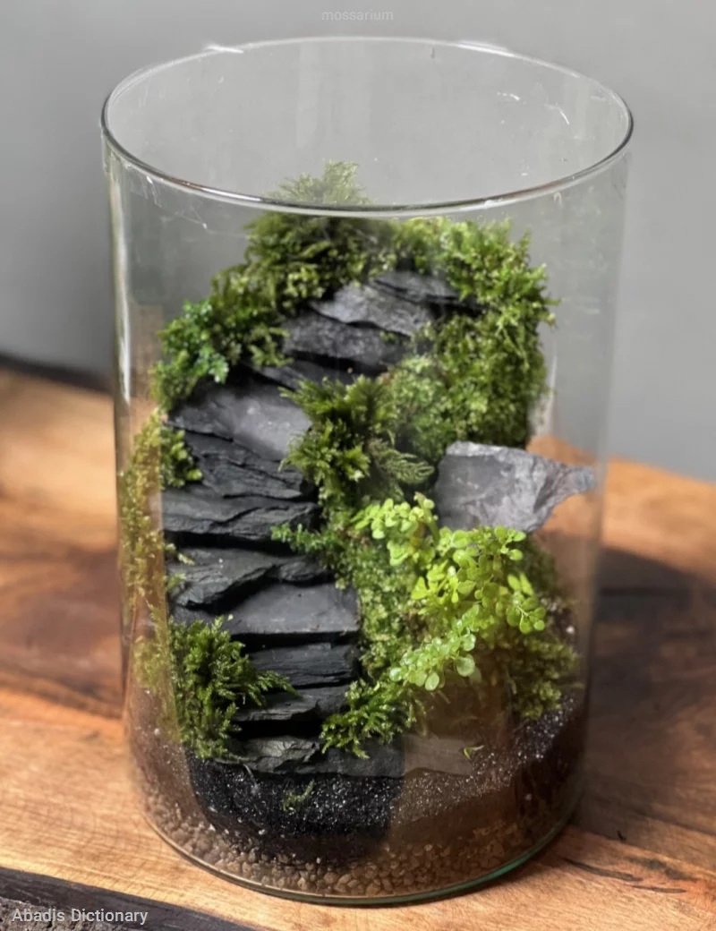 mossarium