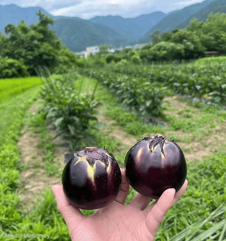 nasu