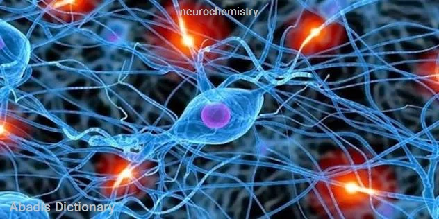 neurochemistry