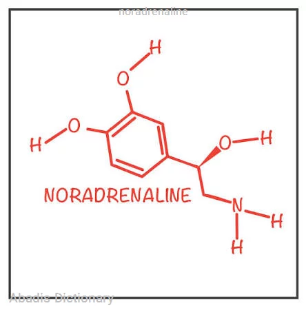 noradrenaline