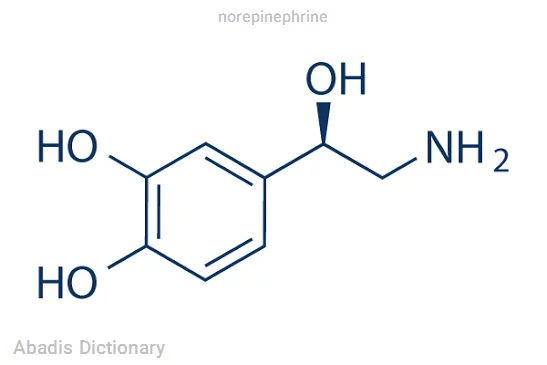norepinephrine