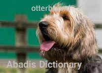 otterhound