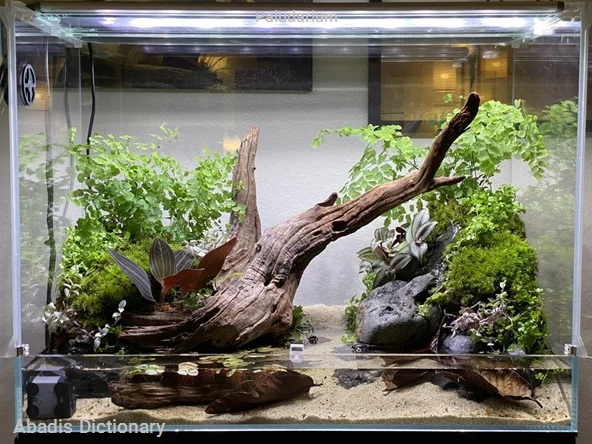 paludarium