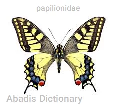 papilionidae