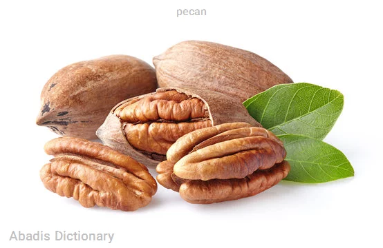 pecan