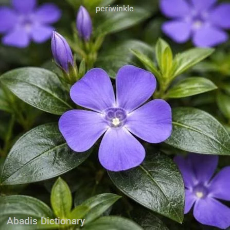 periwinkle