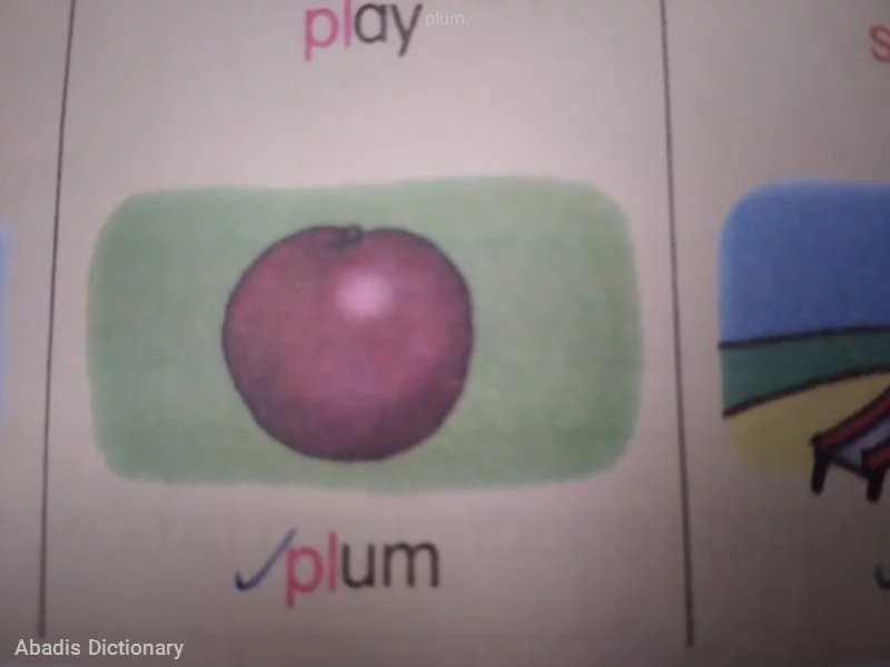 plum معنی در دیکشنری آبادیس