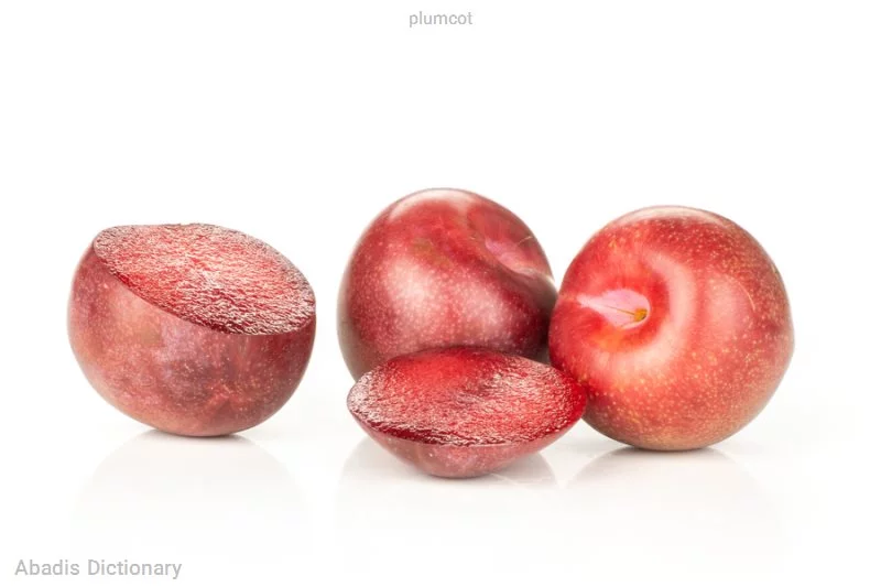 plumcot