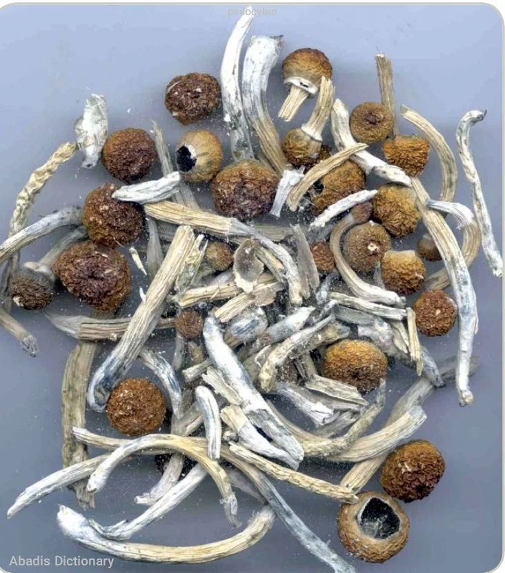 psilocybin