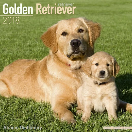 retriever