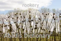 rookery