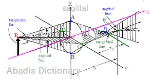 sagittal