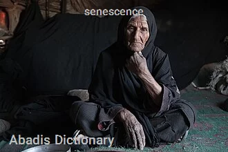 senescence