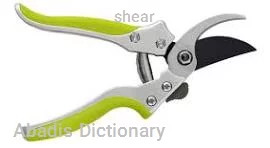 shear