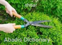 shear