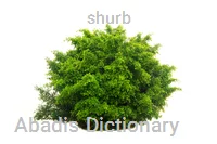 shurb