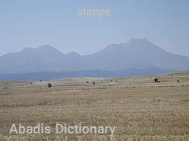 steppe