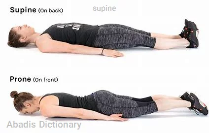 supine