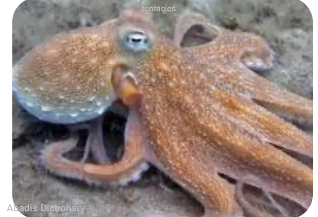 tentacles