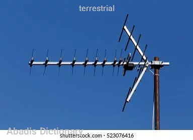 terrestrial
