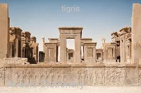 tigris