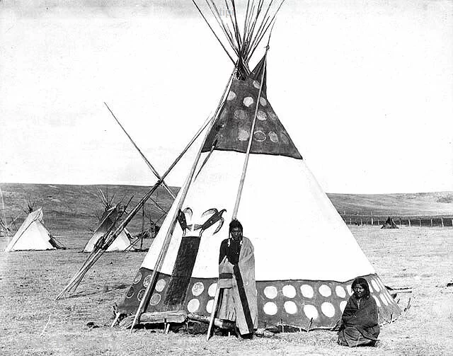 tipi