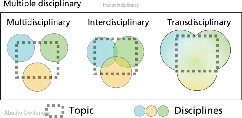 transdisciplinary