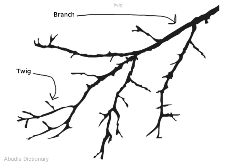 twig