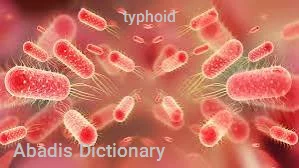 typhoid