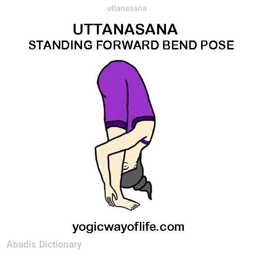 uttanasana