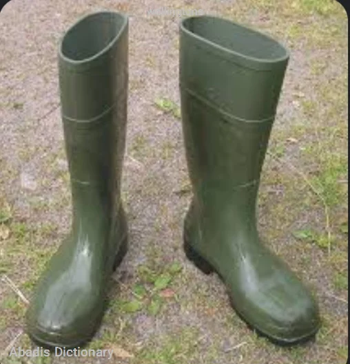 wellingtons