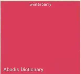 winterberry
