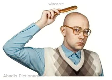 wiseacre