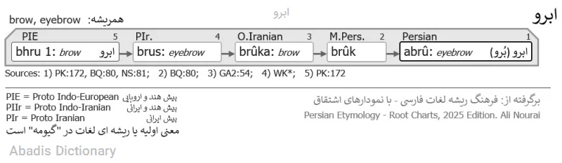 ابرو