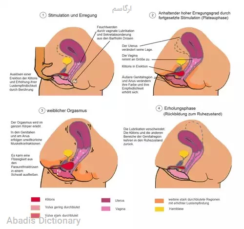 ارگاسم
