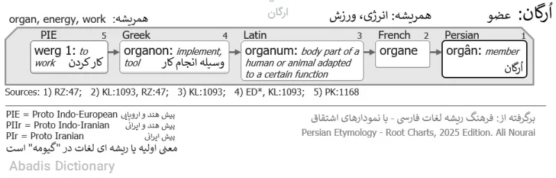 ارگان