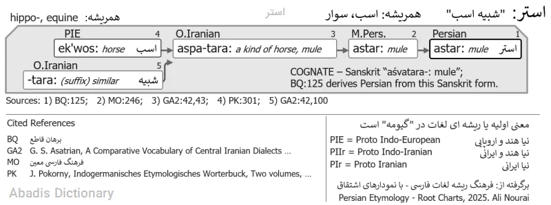 استر
